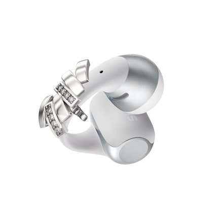 Shokz Clip Accessories OpenDots 2 (Choose one)
